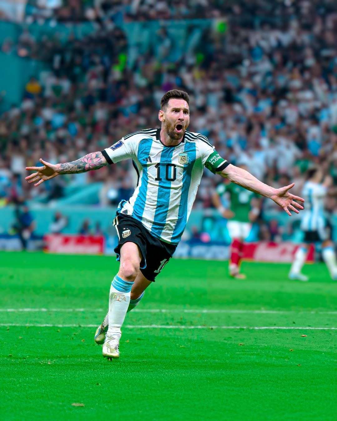 了极高的效 了极高的效